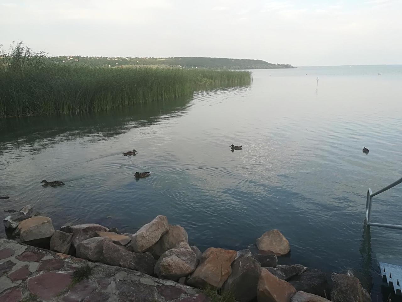Betty Apartman Balatonfůzfő Exterior foto